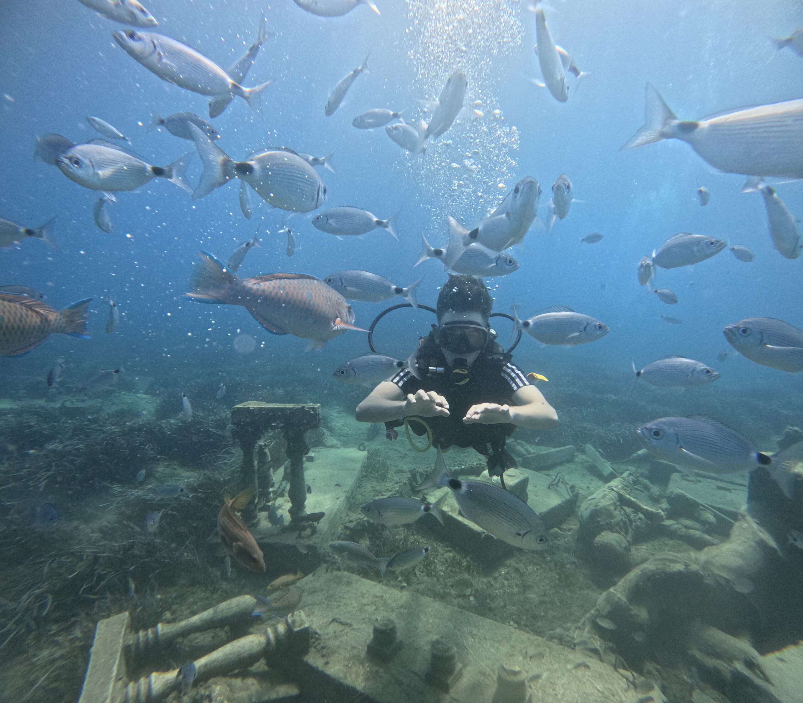 DCIM101GOPROGOPR6142.JPG